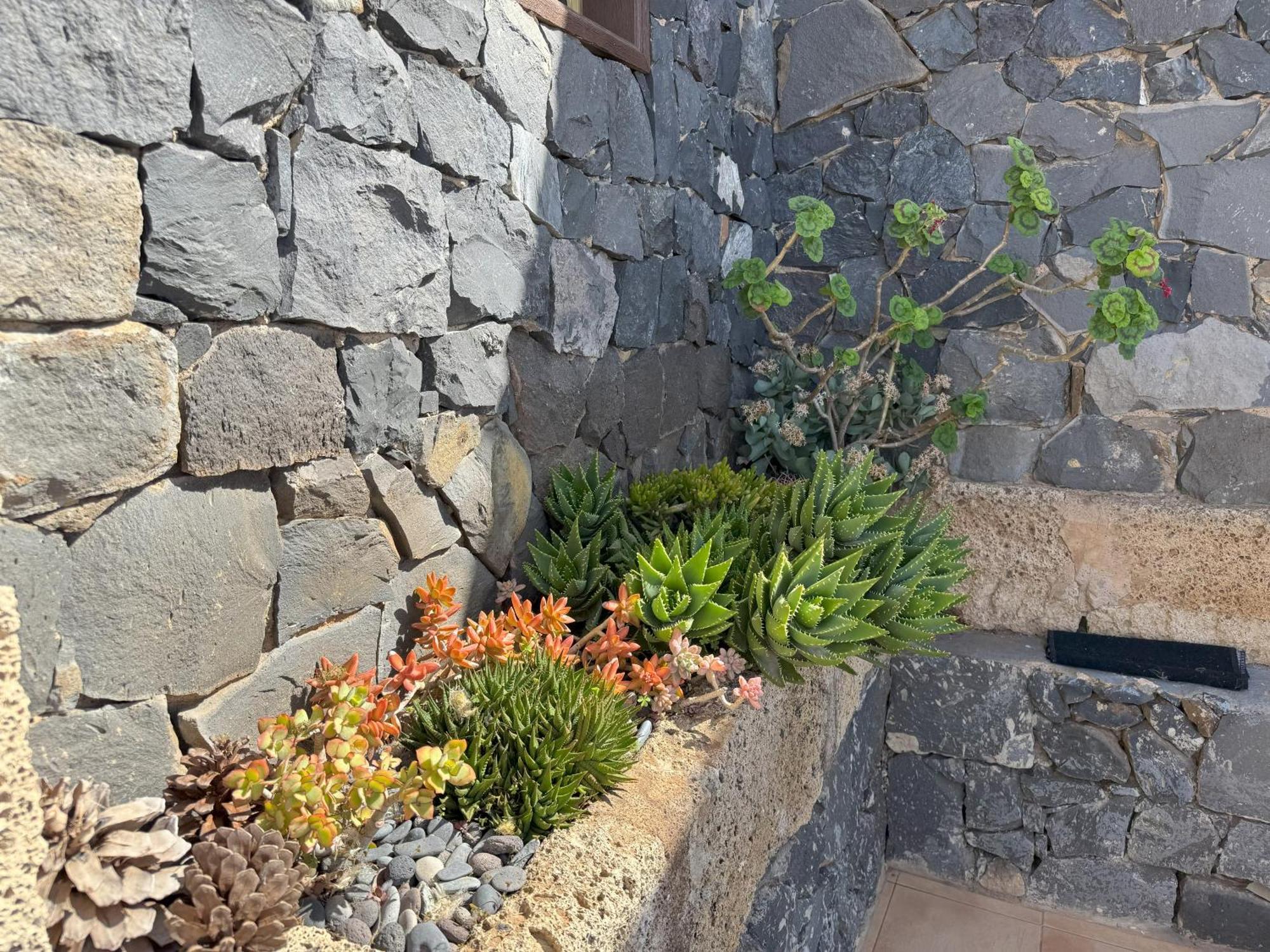 Finca Wawa Tenerife Guía de Isora Exterior foto