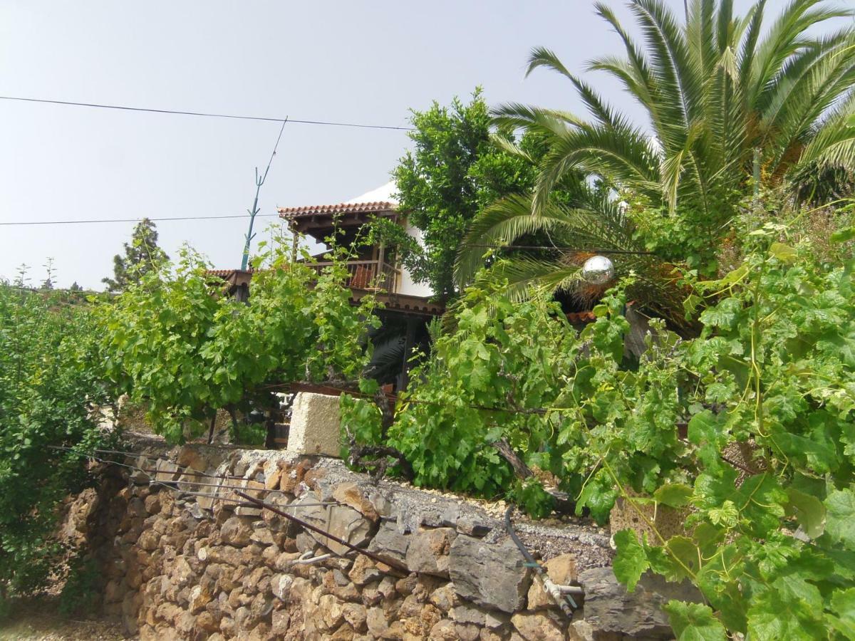 Finca Wawa Tenerife Guía de Isora Exterior foto
