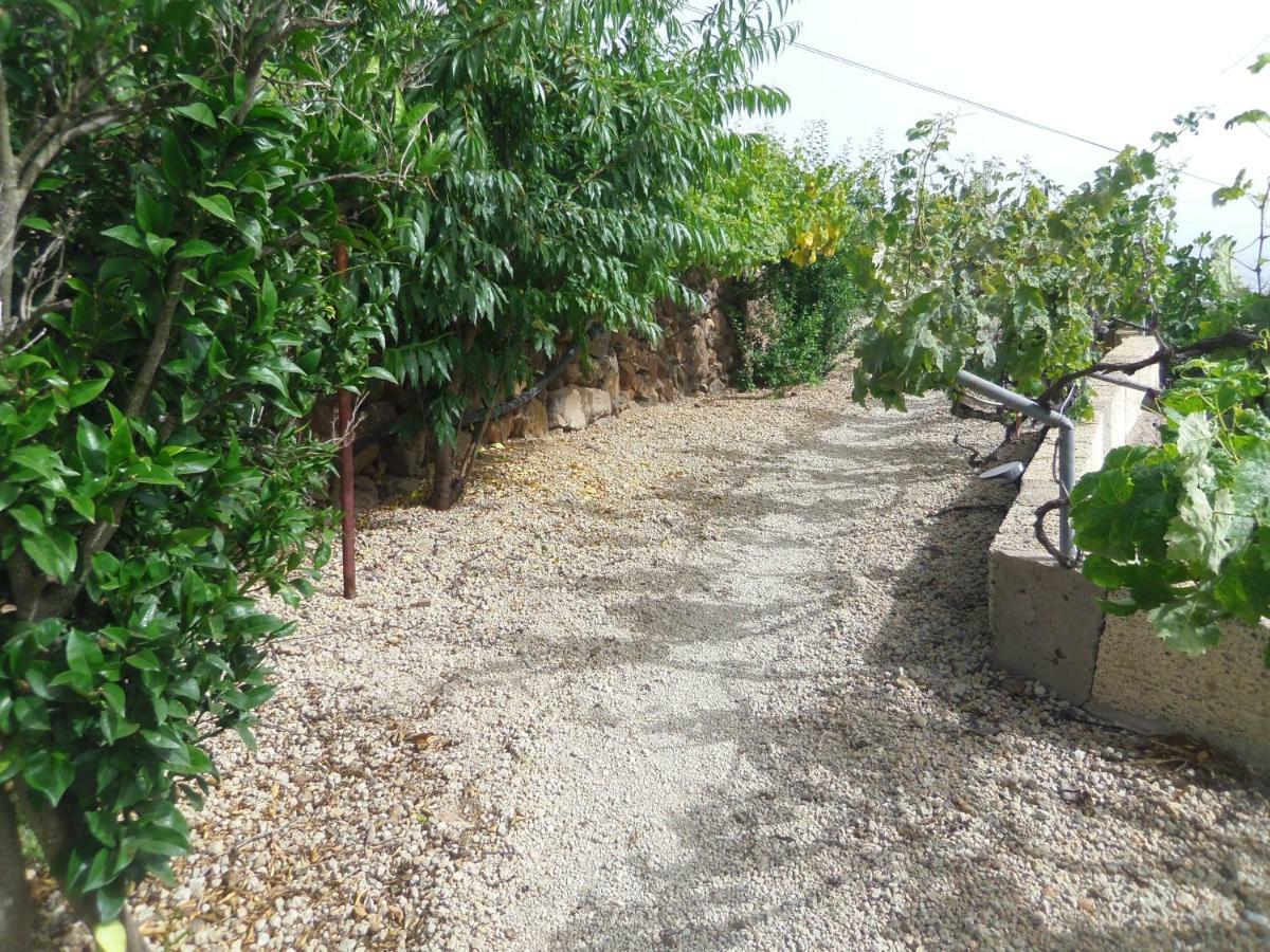 Finca Wawa Tenerife Guía de Isora Exterior foto